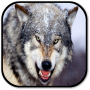 icon Wolf Sounds for Huawei MediaPad M3 Lite 10