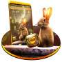 icon Rabbit in Space Launcher for LG Q6a