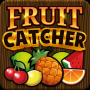 icon New Fruits Catcher Free for Doopro P2