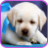 icon Sweet puppies and dogs 1.1.0.16