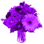 icon Purple Flowers Live Wallpaper
