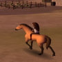 icon Horse Riding Free