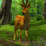 icon Dawn Forest 3D