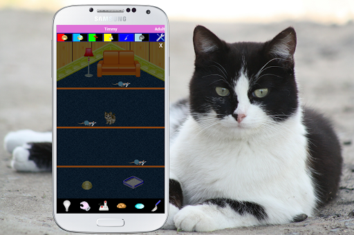 Cat Care Virtual Pet