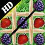 icon Fruit Tac Toe -Free Board Game