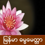 icon Myanmar Dhammamittar for Samsung S5830 Galaxy Ace