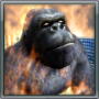 icon Gorilla On Fire!!