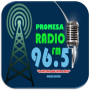 icon Promesa Radio FM 96.5 for Doopro P2