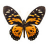 icon Butterfly Game 1.0