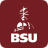 icon BSU Mobile 2021.05.1700 (build 10248)