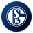 icon FC Schalke 04 2.0.4
