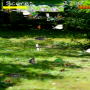 icon Insect-collecting