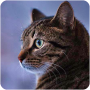 icon Talking Reality Cat for intex Aqua A4