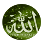 icon Tarihin annabawa 25 for Samsung Galaxy Note 10 1