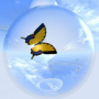 icon Butterfly Shooter for intex Aqua A4