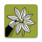 icon Draw flowers 4.3