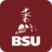 icon BSU Mobile 5.56.0_8630