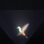 icon Vyomy 3D Hologram Hummingbird