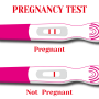 icon Pregnancy Test App Guide