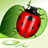 icon Save The Beetle 1.2