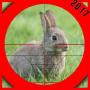 icon Rabbit Hunting 3D