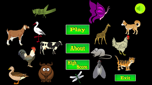 Animal Names Introduction