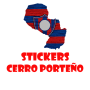 icon Stickers Club Cerro Porteño for intex Aqua A4