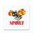 icon SportExpressen 8.0.16
