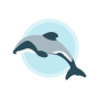 icon Hector's Dolphin Sightings for Samsung S5830 Galaxy Ace