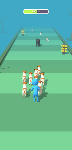 Join Pet: Zoo Crowd Run