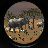 icon Animal Hunter 3D Africa 1.0