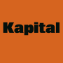 icon Kapital for iball Slide Cuboid