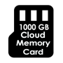 icon 1000GB Card