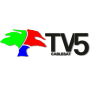 icon TV5 Cablesat Luque for Doopro P2