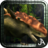 icon Dinosaur Safari 19.2.3