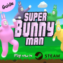 icon Guide for Super Bunny man game