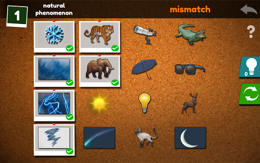 Mismatched : Matching Objects. Picture Puzzle