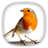 icon Bird Calls, Sounds & Ringtones 3.0.8