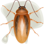 icon Killer cockroaches