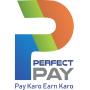 icon Perfect Pay