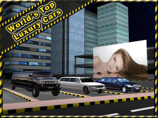 Limousine Parking 3D