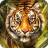 icon 7Fon Tigers 5.6.27