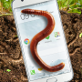 icon Earthworm in phone slimy joke