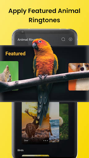 Free download Animal Sounds - Bird Ringtones APK for Android