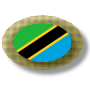 icon TanzaniaApps and news