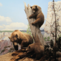 icon Puzzles: Animals