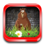 icon Clumsy Bear Run