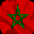 icon Magic Flag: Morocco 6.0