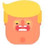 icon Flappy Trump