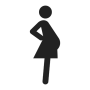 icon My Pregnancy Widget for Doopro P2